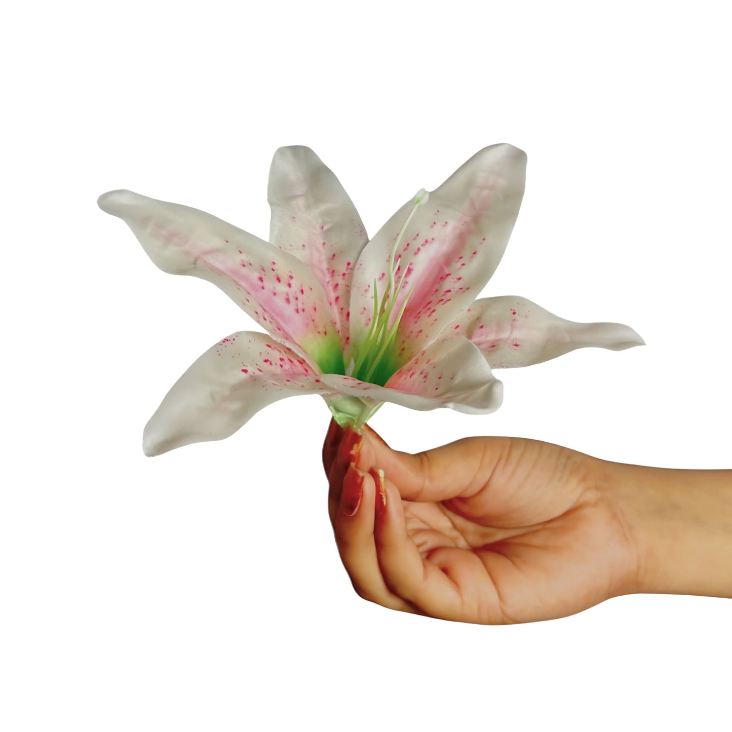 Light Peach Pink Flr Lily Head ( Pack of 100)