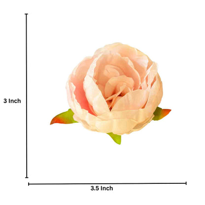 Peach Peony (Pack of 50)
