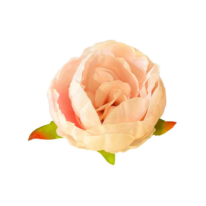 Peach Peony (Pack of 50)