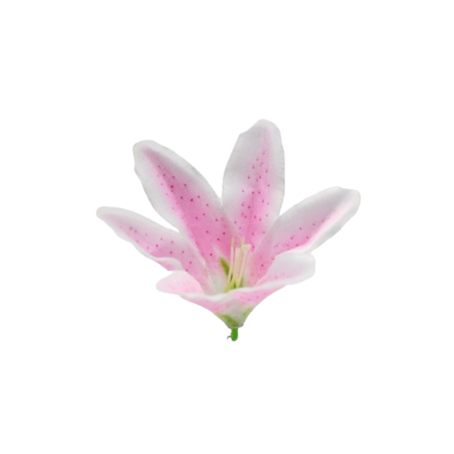 Light Pink White Flr Lily Head ( Pack of 100)
