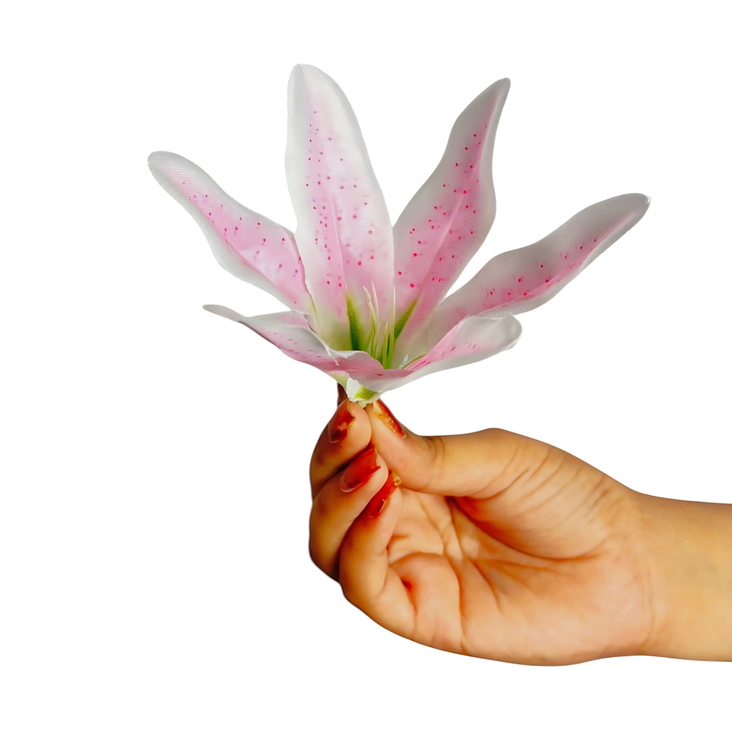 Light Pink White Flr Lily Head ( Pack of 100)