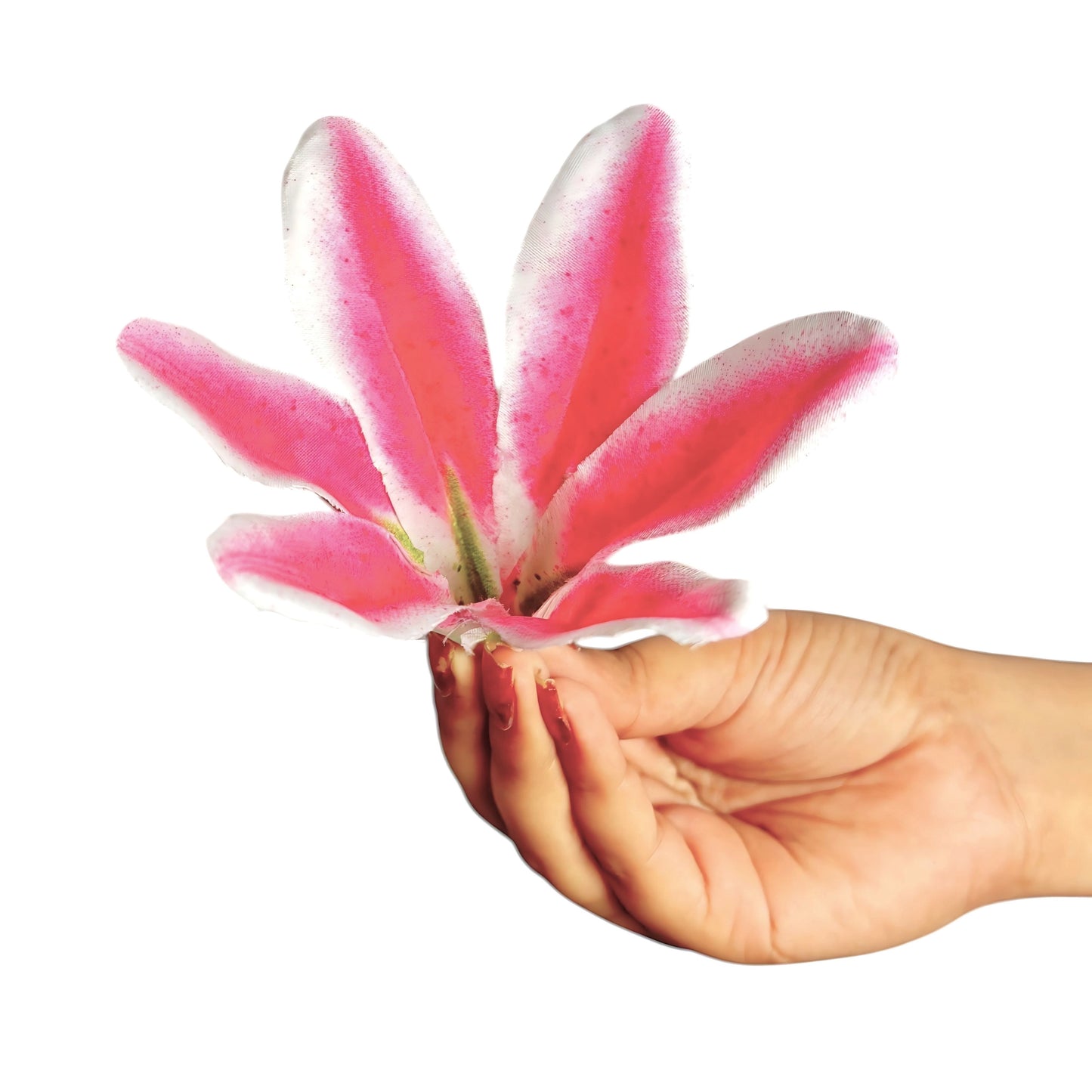 Magenta White Flr Lily Head ( Pack of 100)