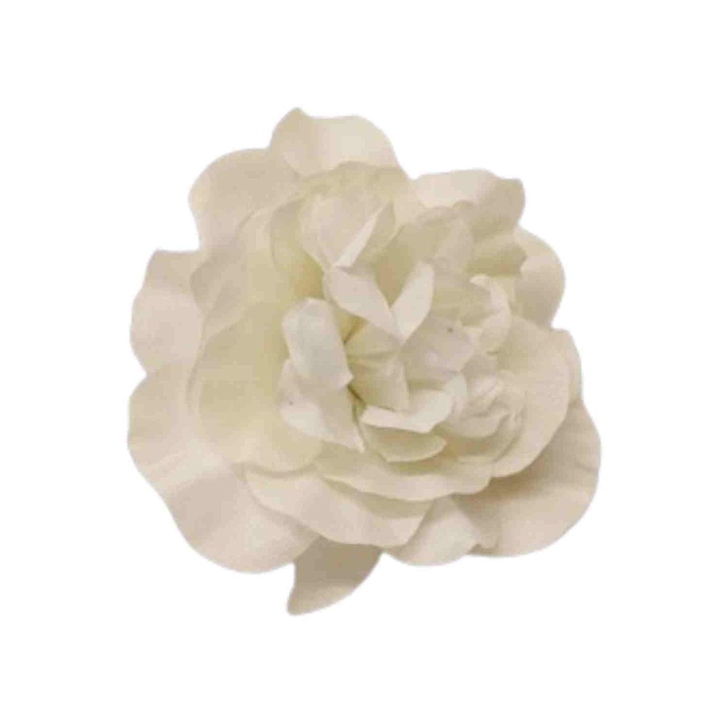 Off White Butterfly (Pack of 200)