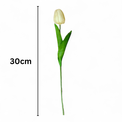 Tulip Stick 13" Peach (Pack of 10)