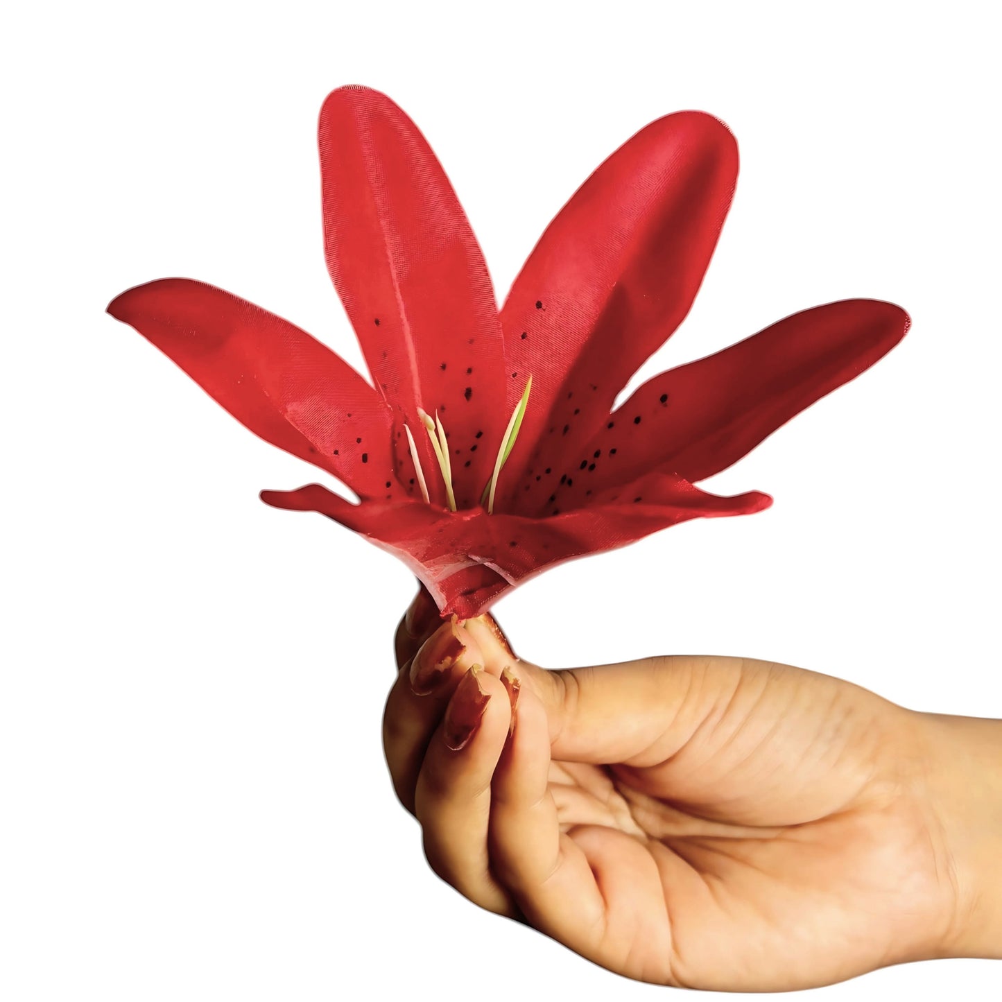 Red Flr Lily Head ( Pack of 100)