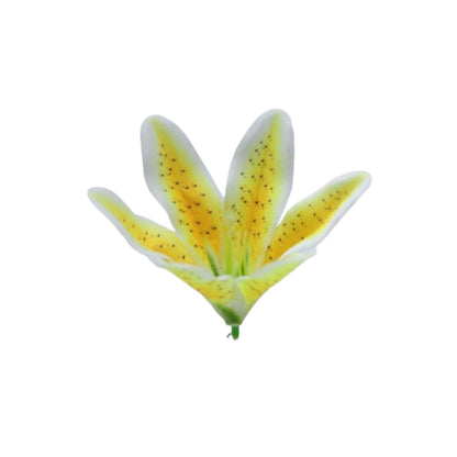 Yellow White Flr Lily Head ( Pack of 100)