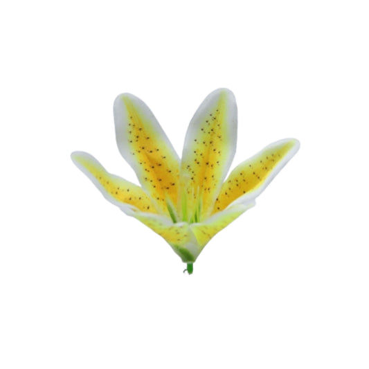 Yellow White Flr Lily Head ( Pack of 100)