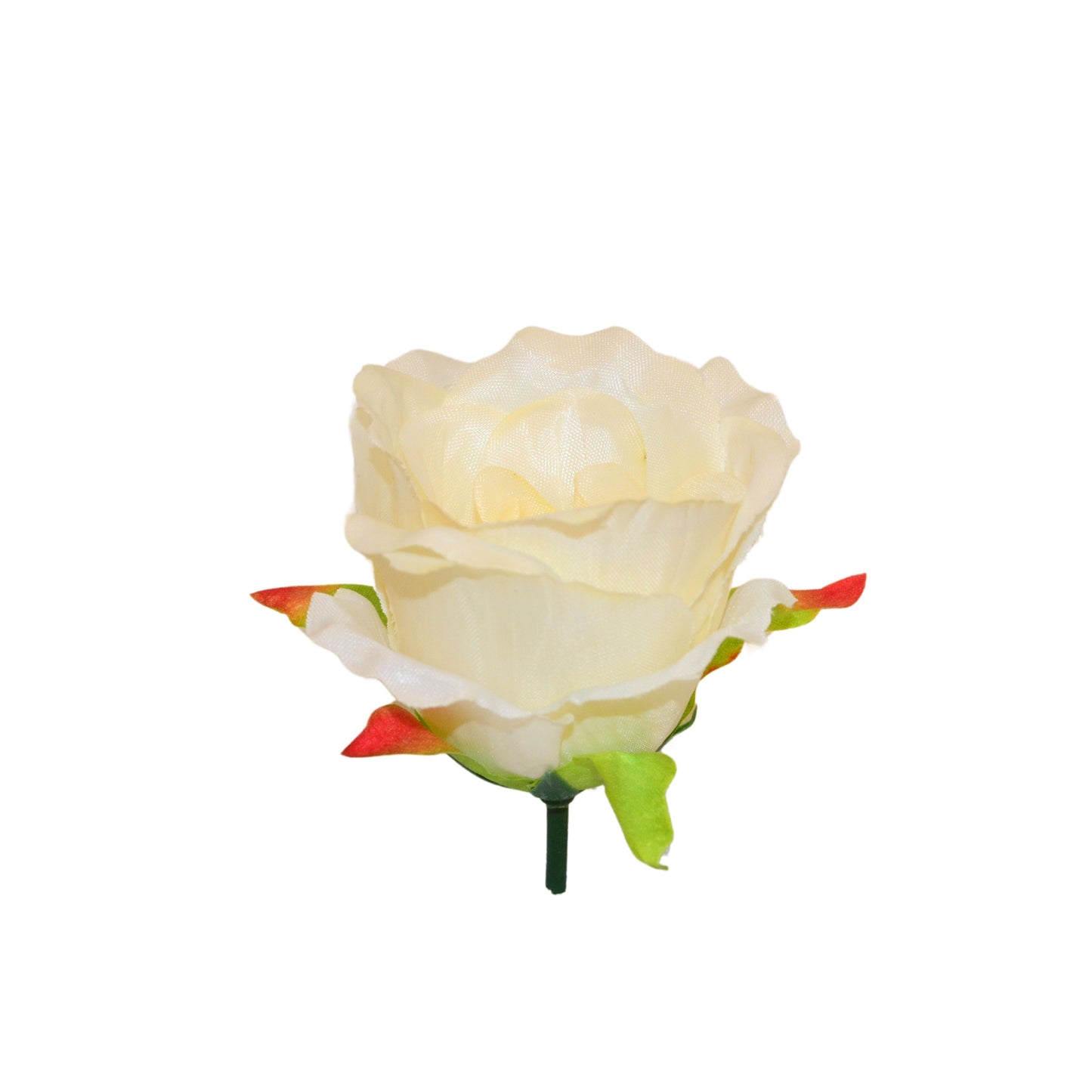 Cream MR7 Rose (Pack of 100)