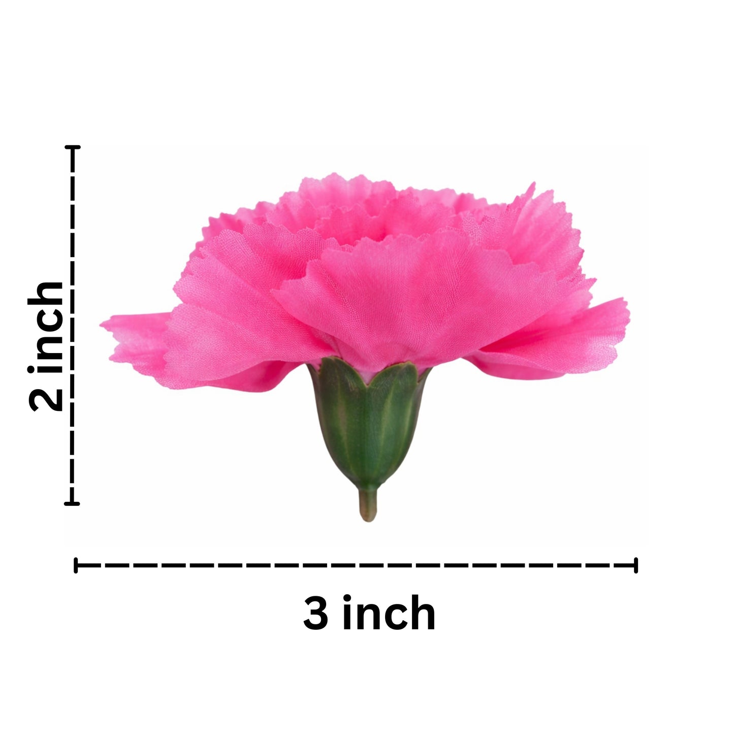 Pink Carnation (Pack of 200)