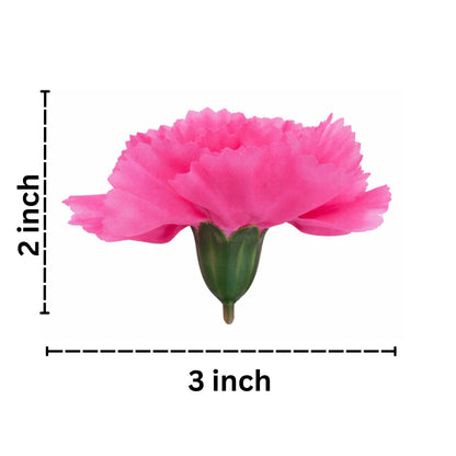 Pink Carnation (Pack of 200)