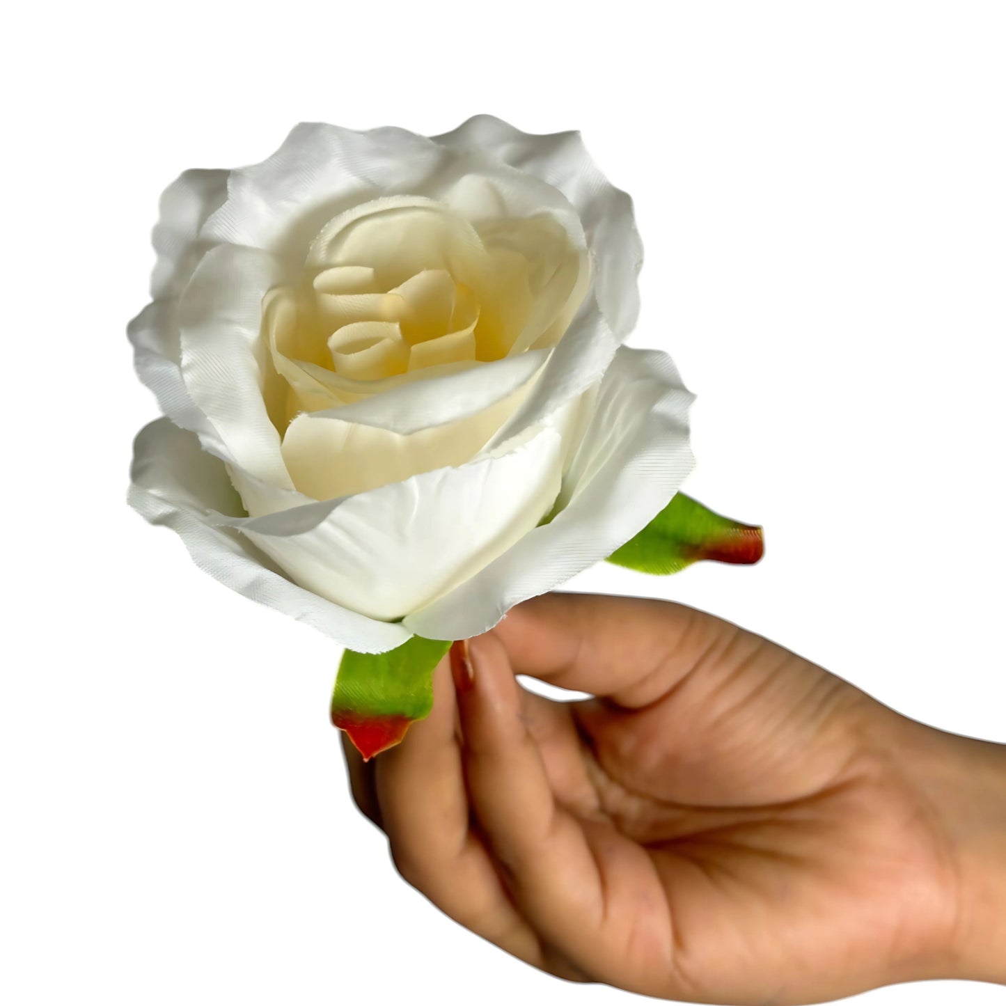 Cream MR7 Rose (Pack of 100)