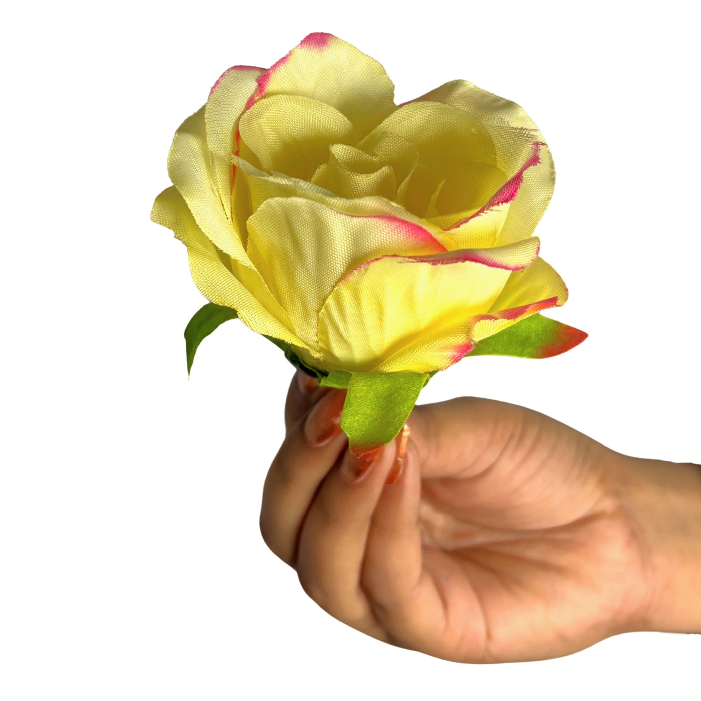 Light Magenta Cream MR7 Rose (Pack of 100)