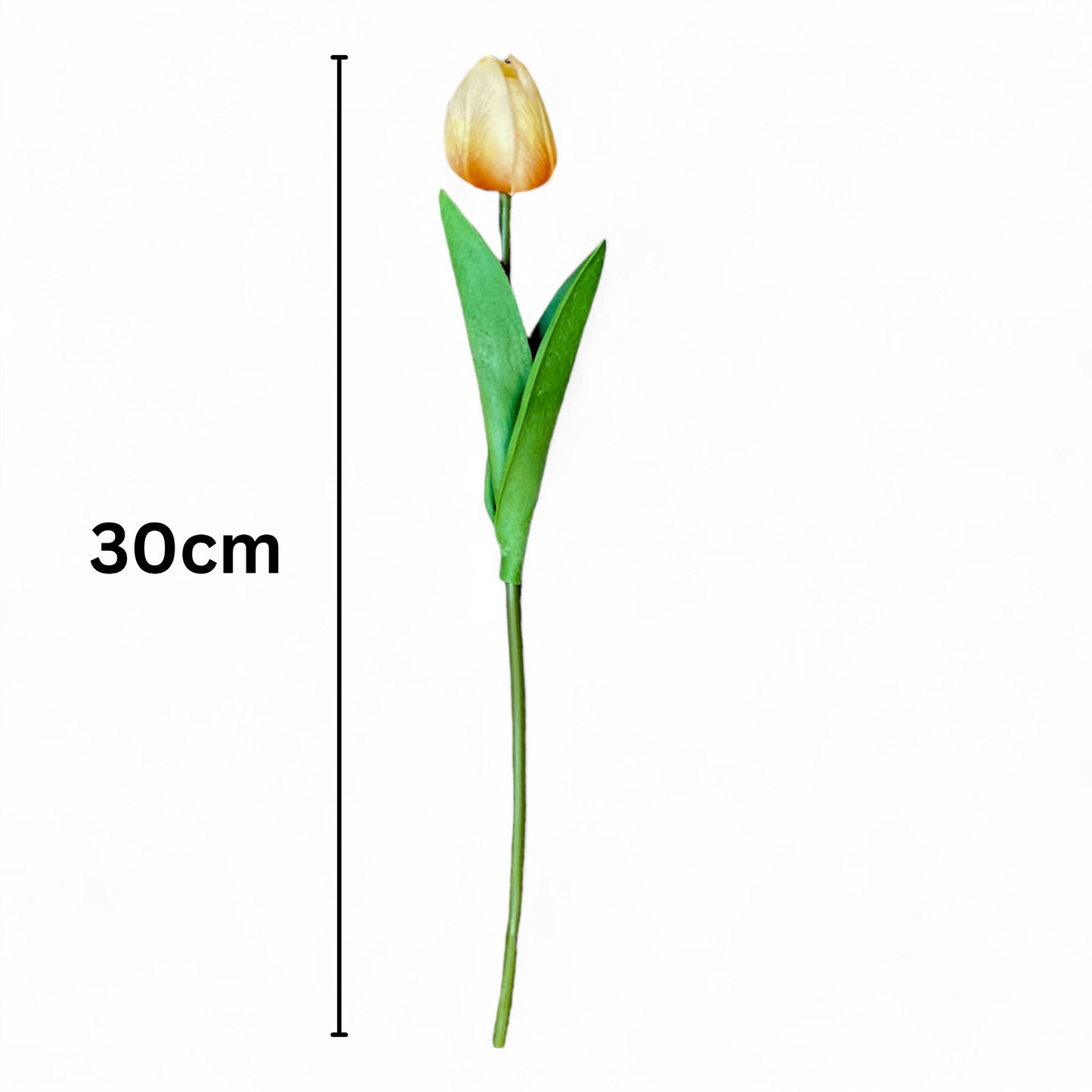 Tulip Stick 13" Orange Cream (Pack of 10)