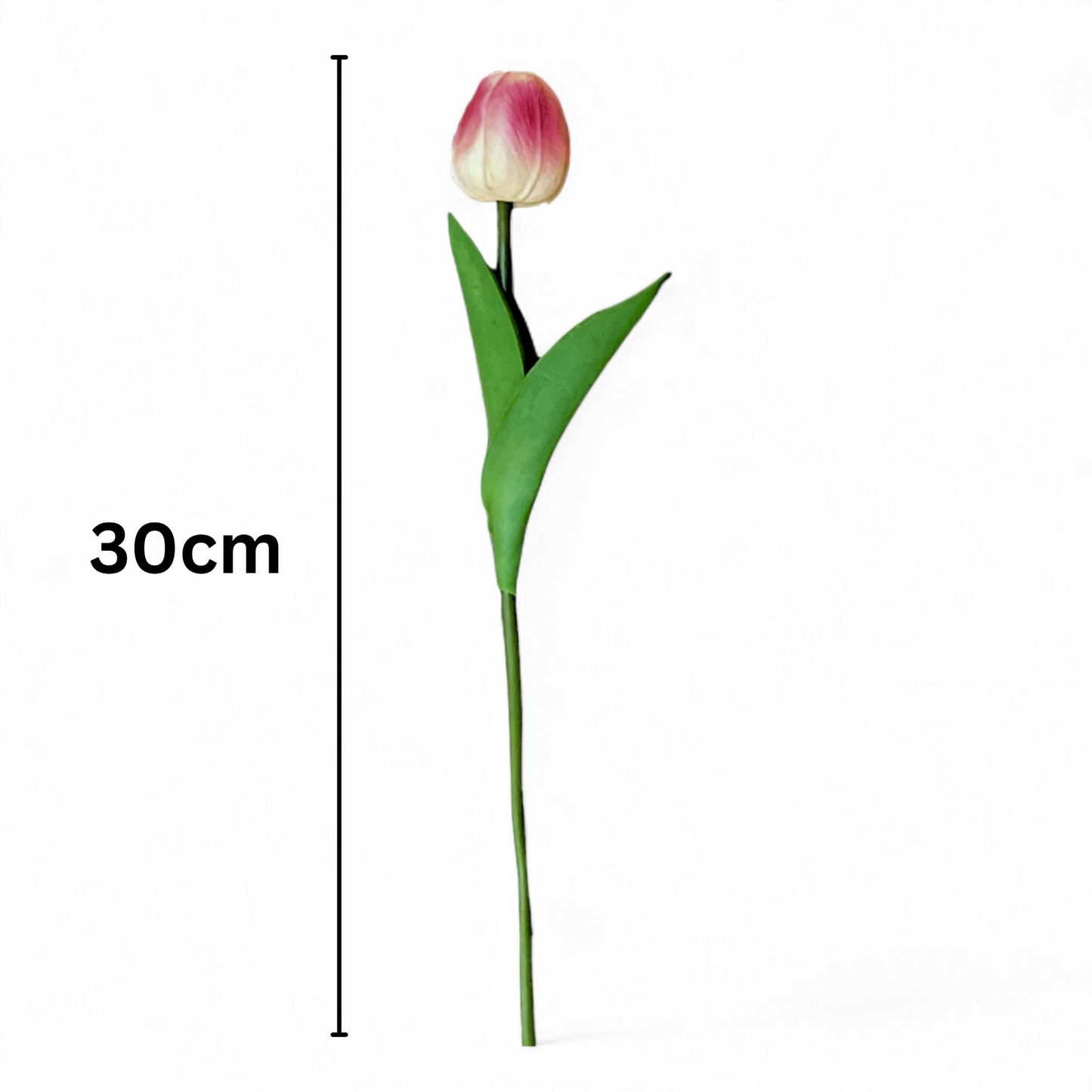 Tulip Stick 13" White Pink (Pack of 10)