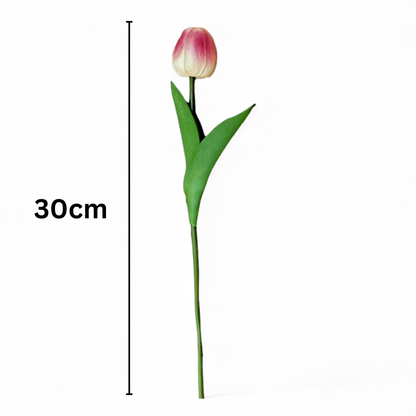 Tulip Stick 13" White Pink (Pack of 10)