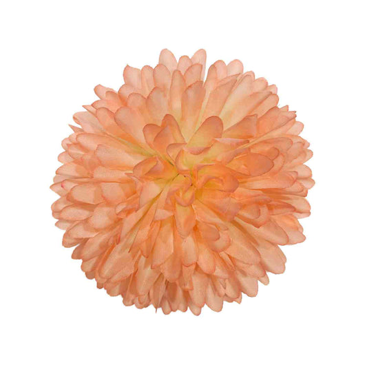 Peach White Dahlia Big (Pack of 100)