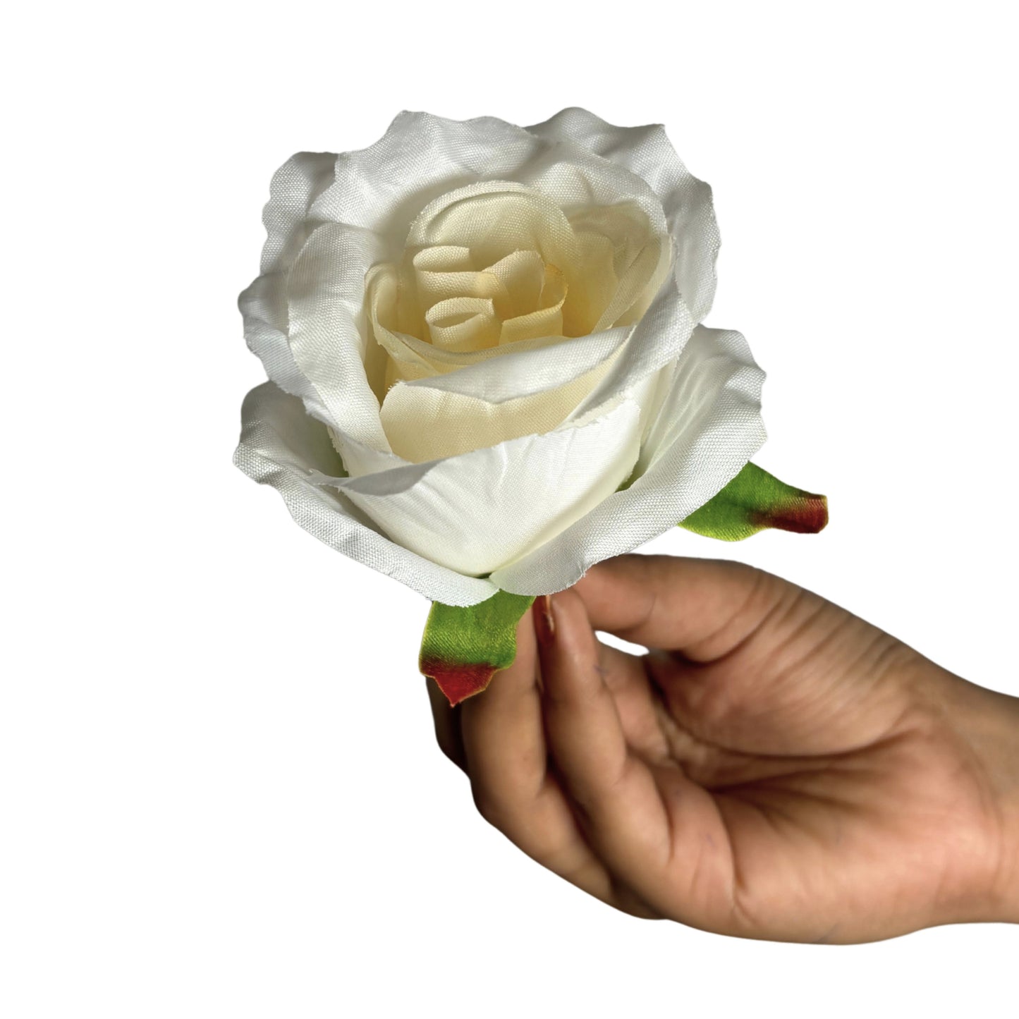 Off White MR7 Rose (Pack of 100)
