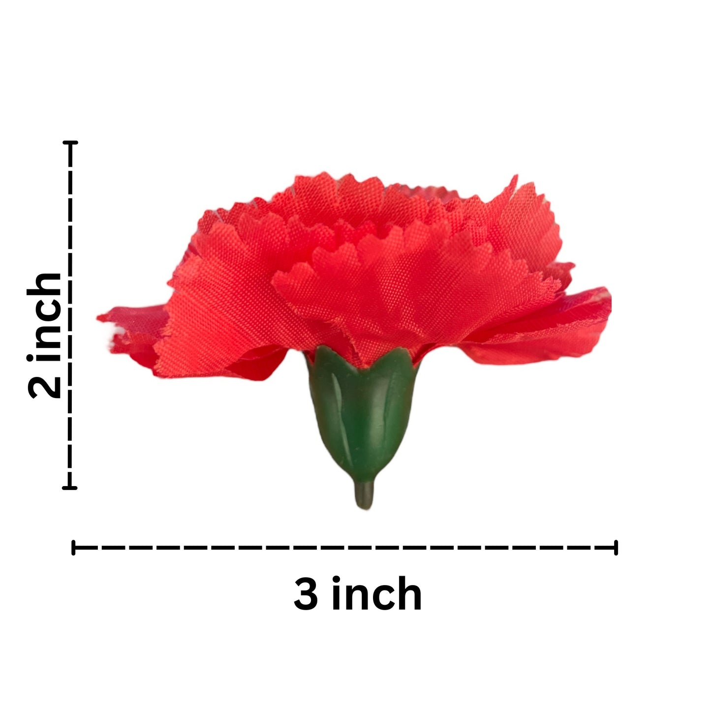 Red Carnation (Pack of 200)