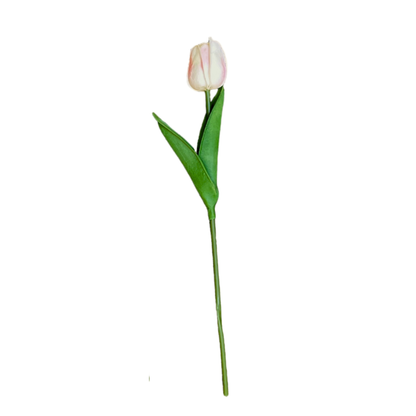 Tulip Stick 13" White (Pack of 10)