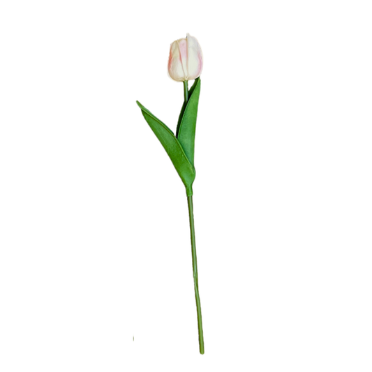 Tulip Stick 13" White (Pack of 10)