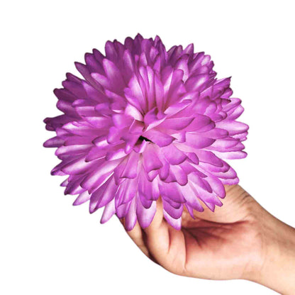 Purple white Dahlia Big (Pack of 100)