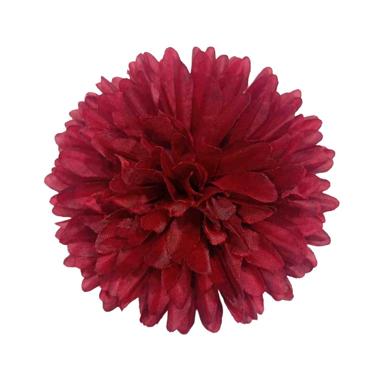 Mehroom Dahlia Big (Pack of 100)