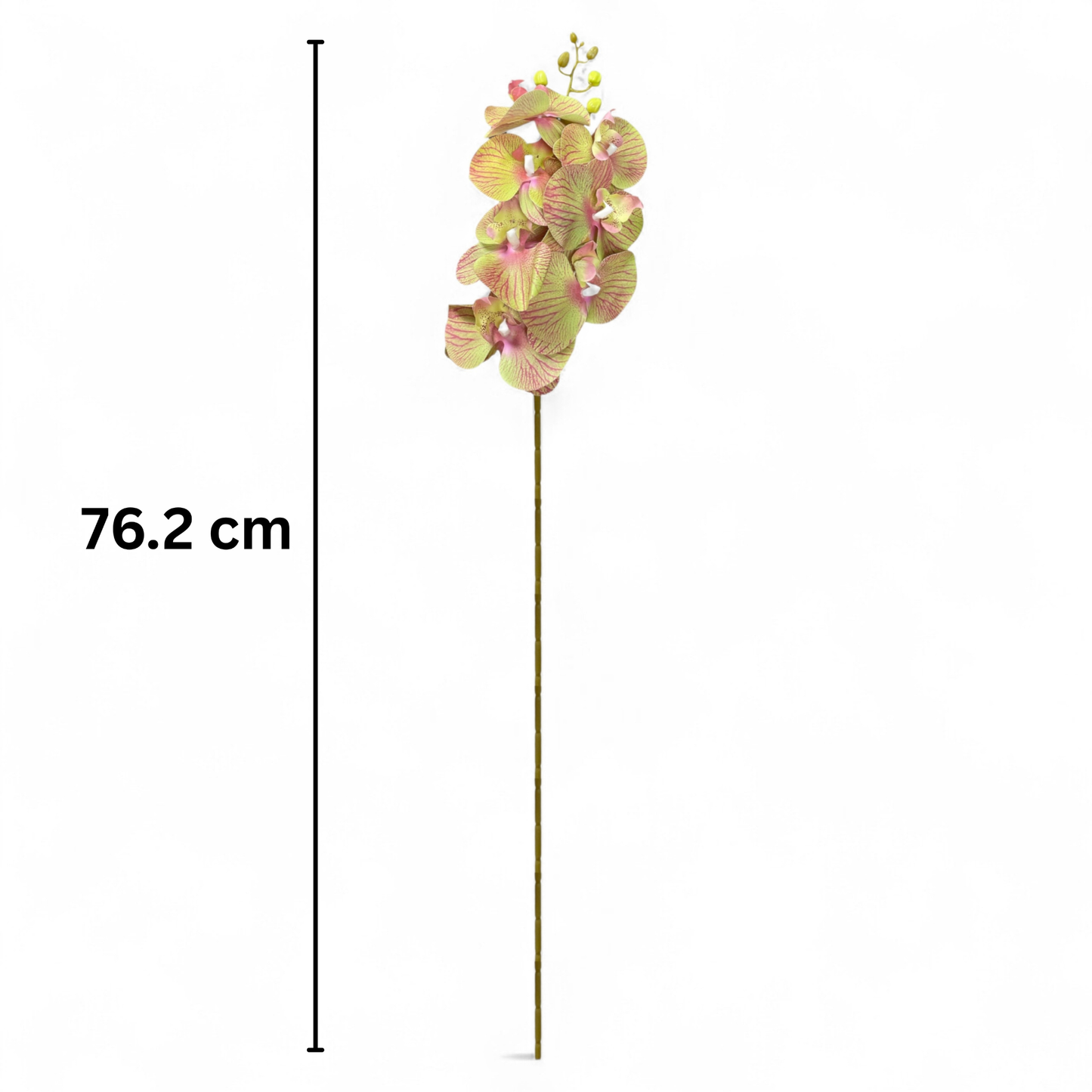Cymbidium Stick 30" Light Green Pink (Pack of 10)