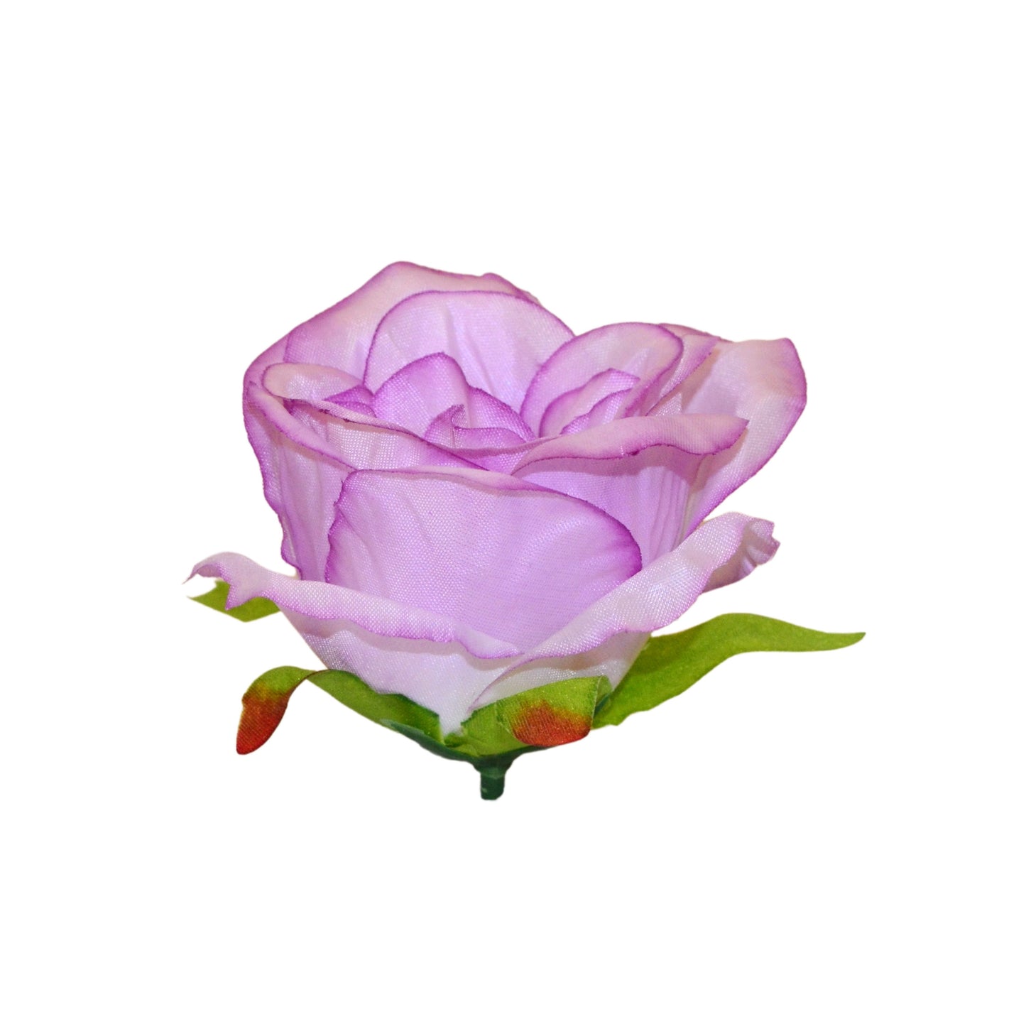Purple white MR7 Rose (Pack of 100)