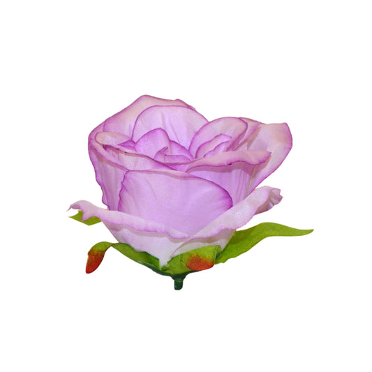 Purple white MR7 Rose (Pack of 100)