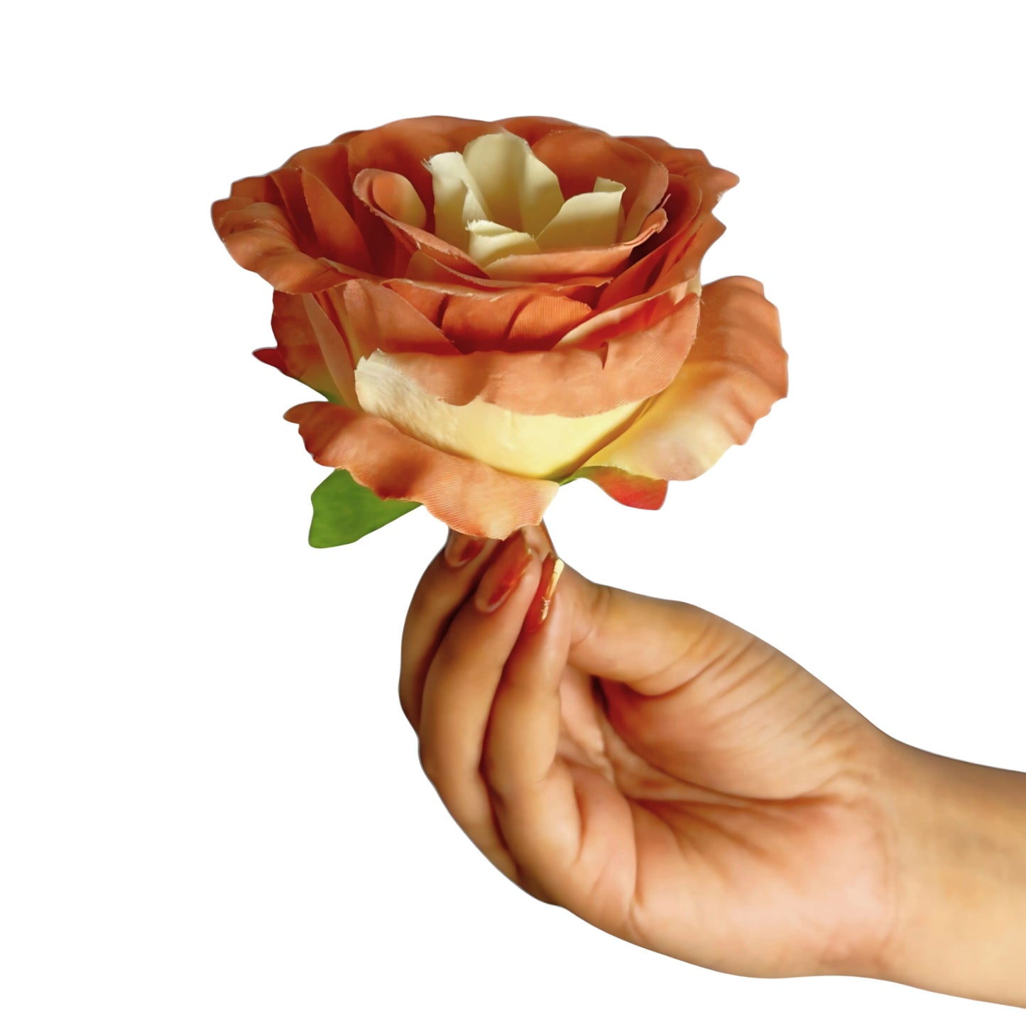 Rose Gold MR7 Rose (Pack of 100)