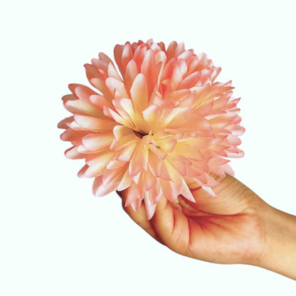 Pink White Dahlia Big (Pack of 100)