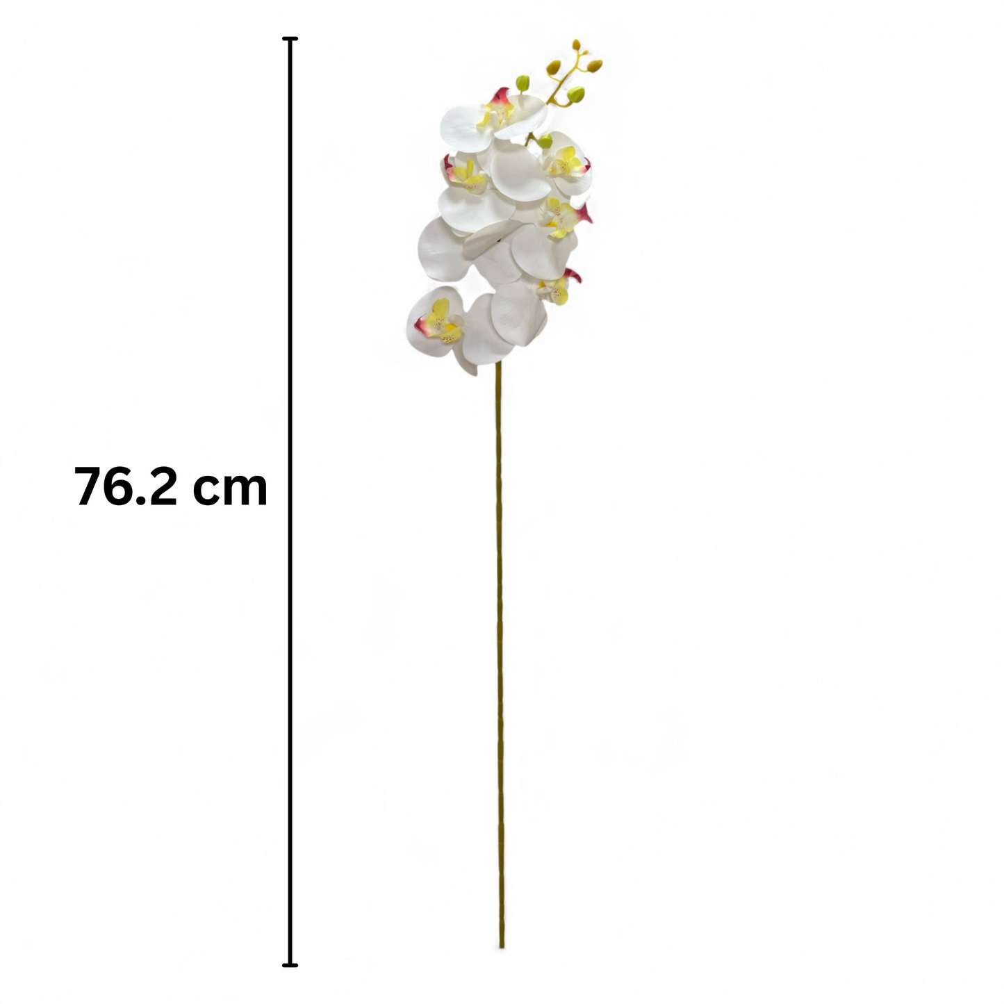 Cymbidium Stick 30" White (Pack of 10)