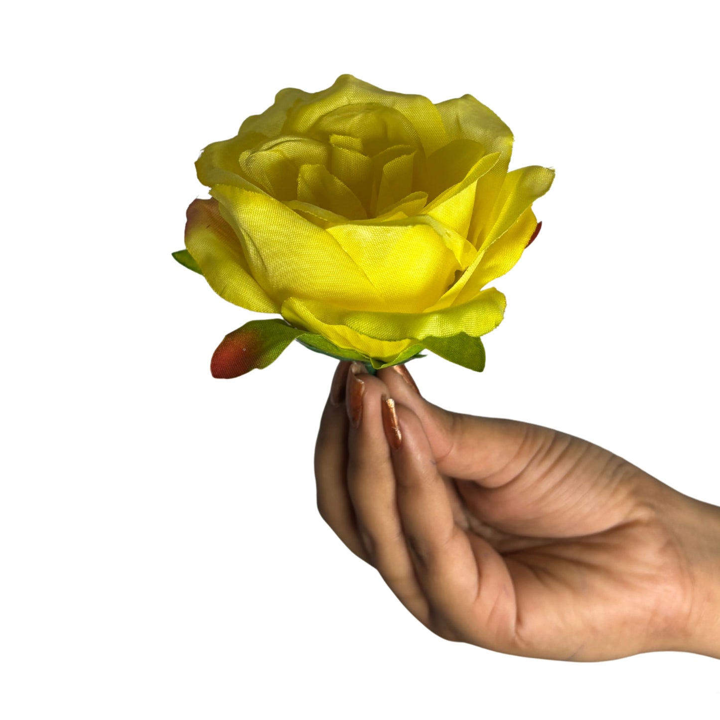 Yellow MR7 Rose (Pack of 100)