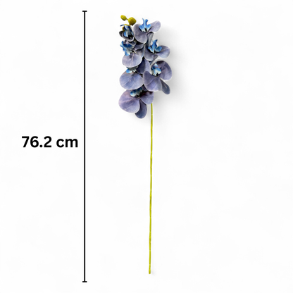 Cymbidium Stick 30" Blue (Pack of 10)