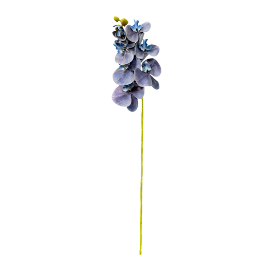Cymbidium Stick 30" Blue (Pack of 10)