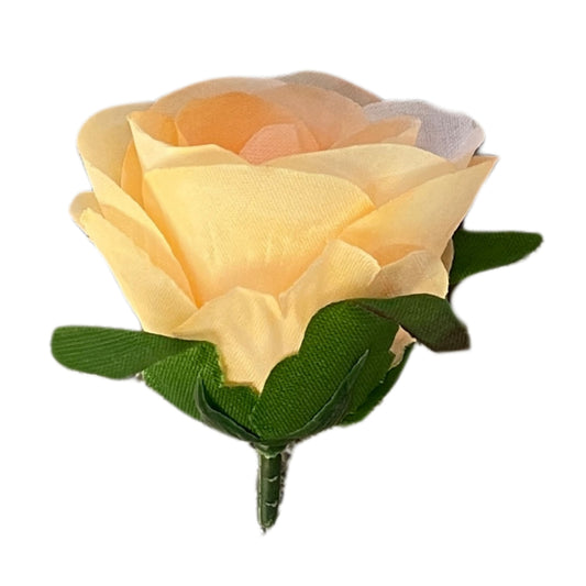 Magenta Cream Rose (MR4) Pack of (200)