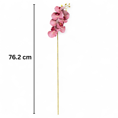 Cymbidium Stick 30" Onion Pink (Pack of 10)