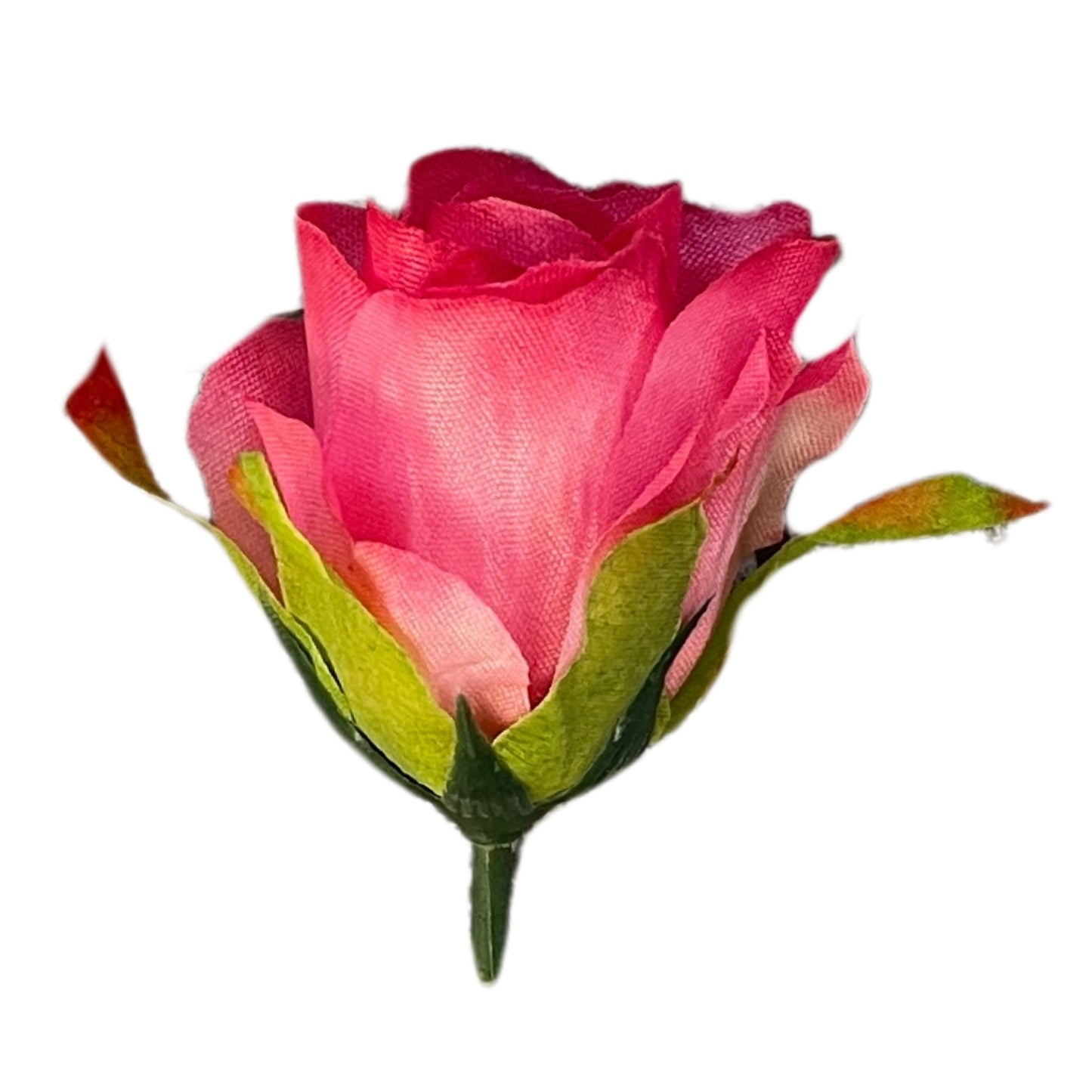 Magenta White Rose (MR4) Pack of (200)