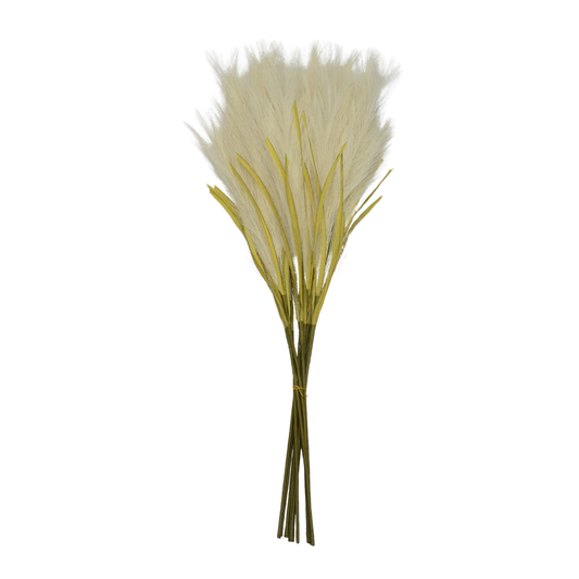 Pampas Grass Stick 31" Peach (Pack of 10)
