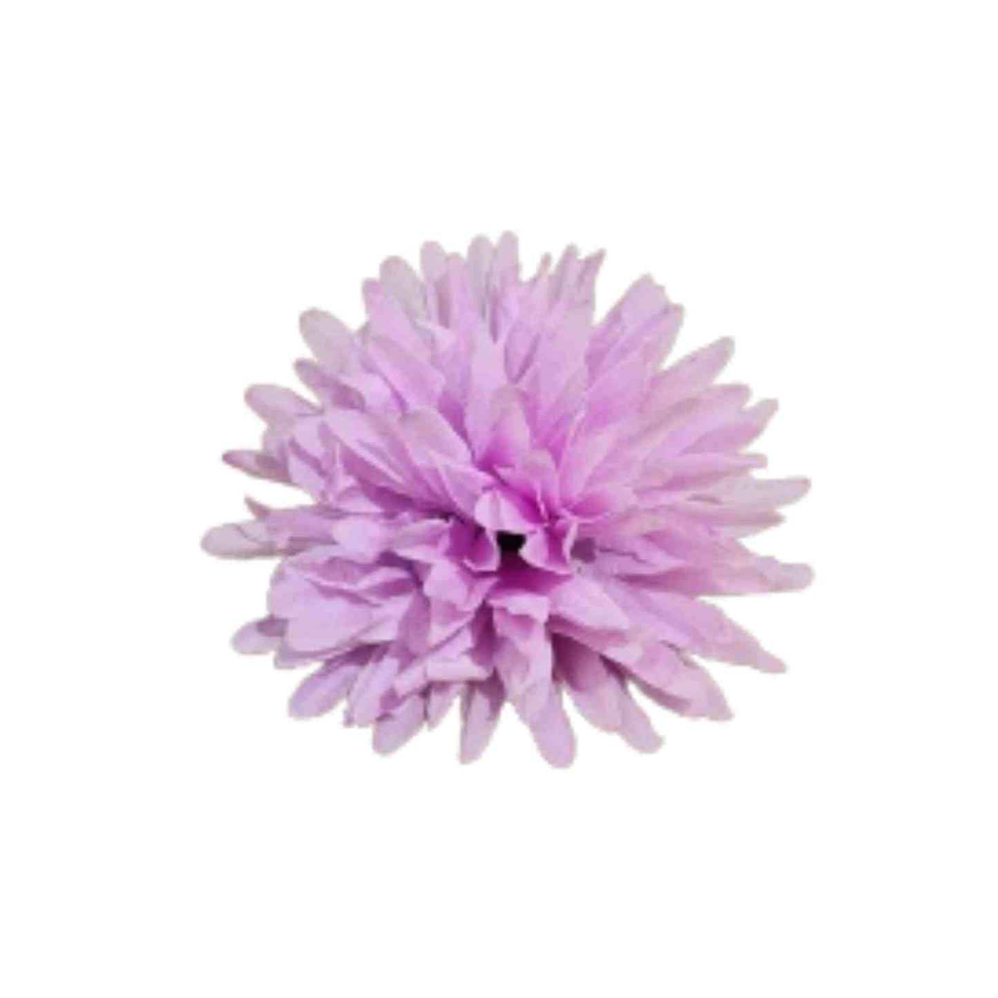 Lavender Dahlia (Pack of 100)