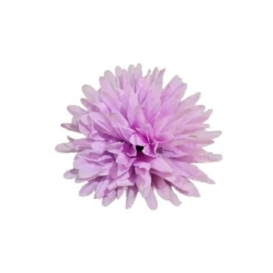 Lavender Dahlia (Pack of 100)
