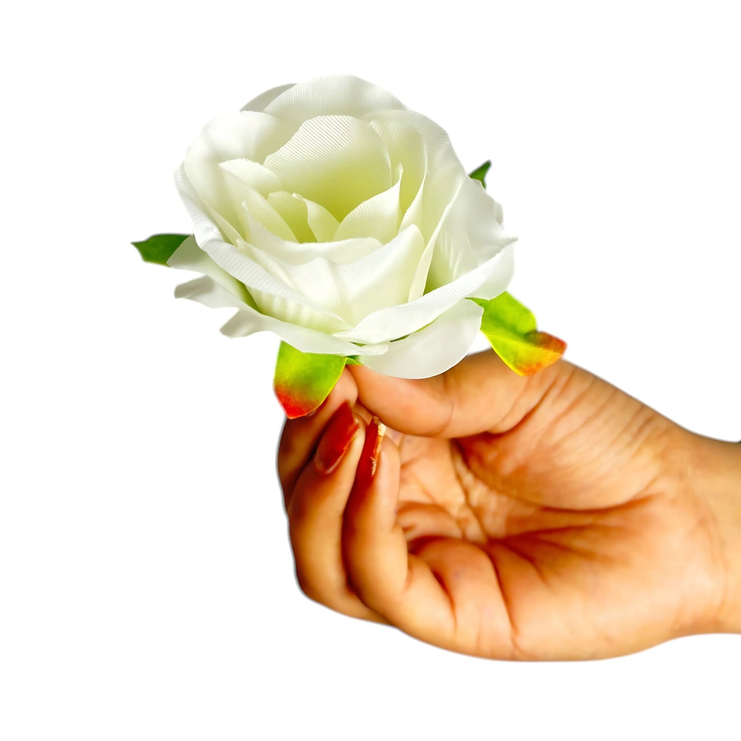 Off White Rose (MR4) Pack of (200)