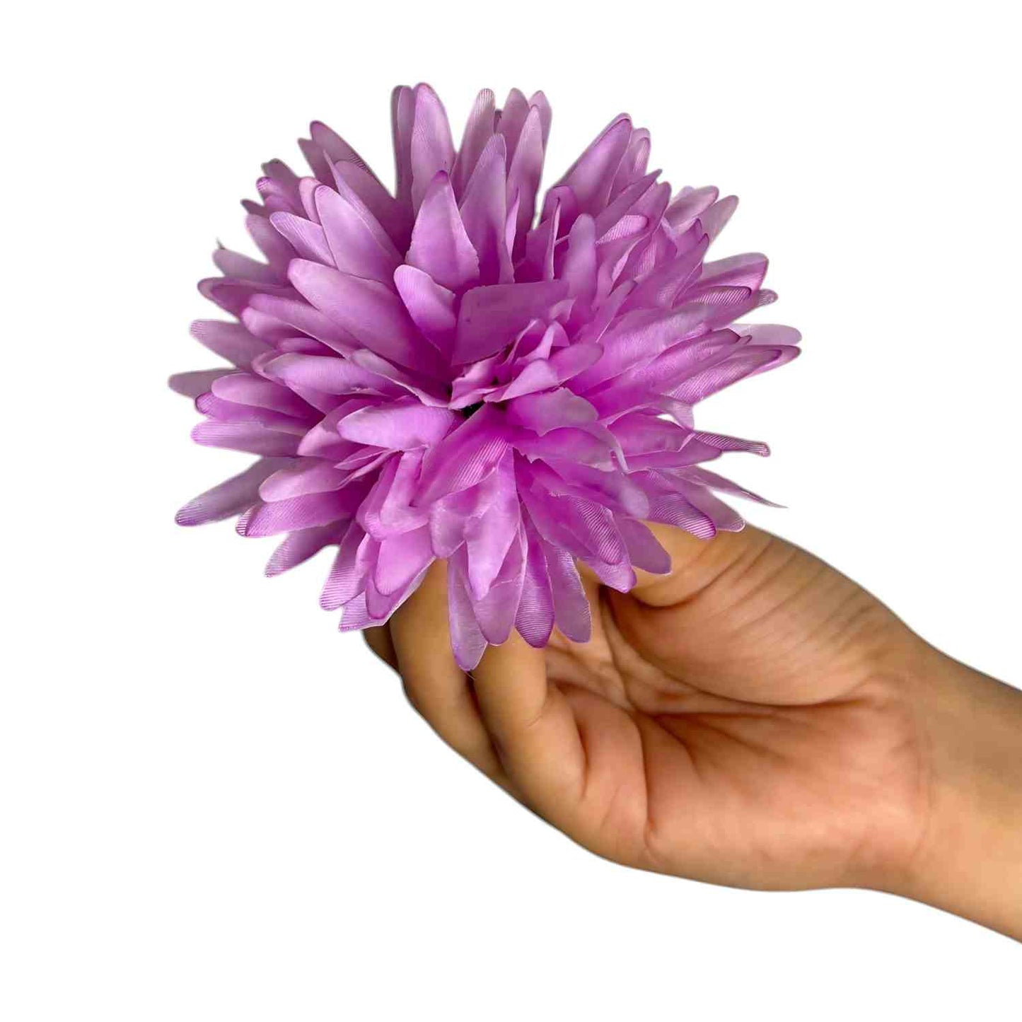 Lavender Dahlia (Pack of 100)