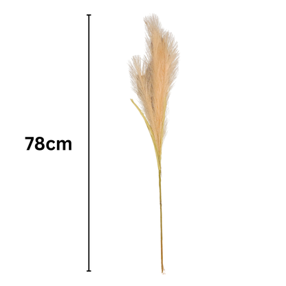 Pampas Grass Bunch 20 Stick 46.5" Peach (Pack of 10)