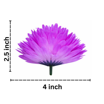 Dark Purple Dahlia (Pack of 100)