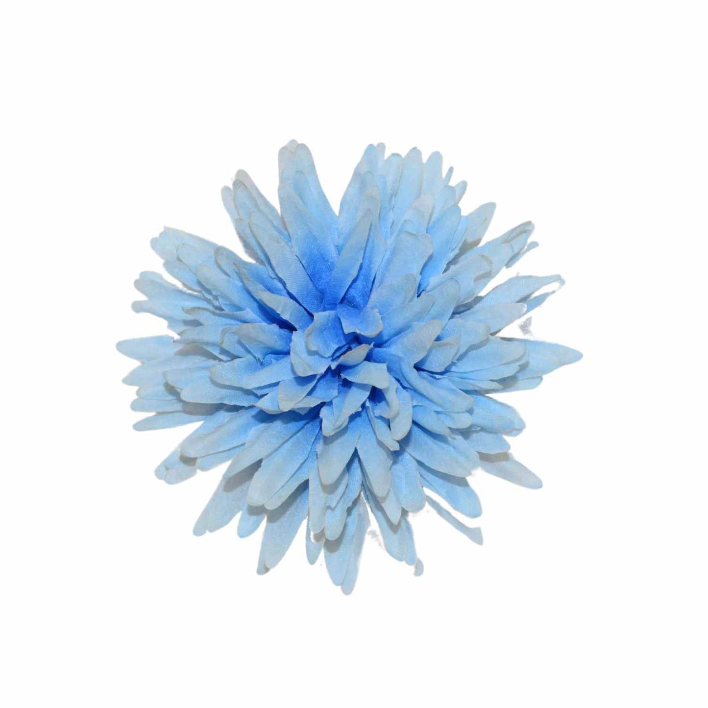 Sky blue Dahlia (Pack of 100)