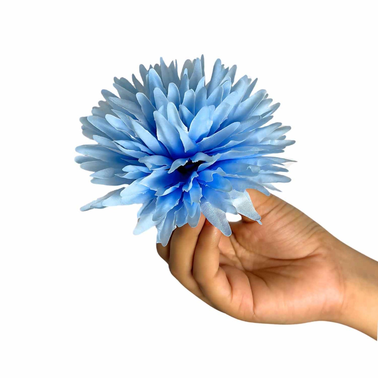 Sky blue Dahlia (Pack of 100)