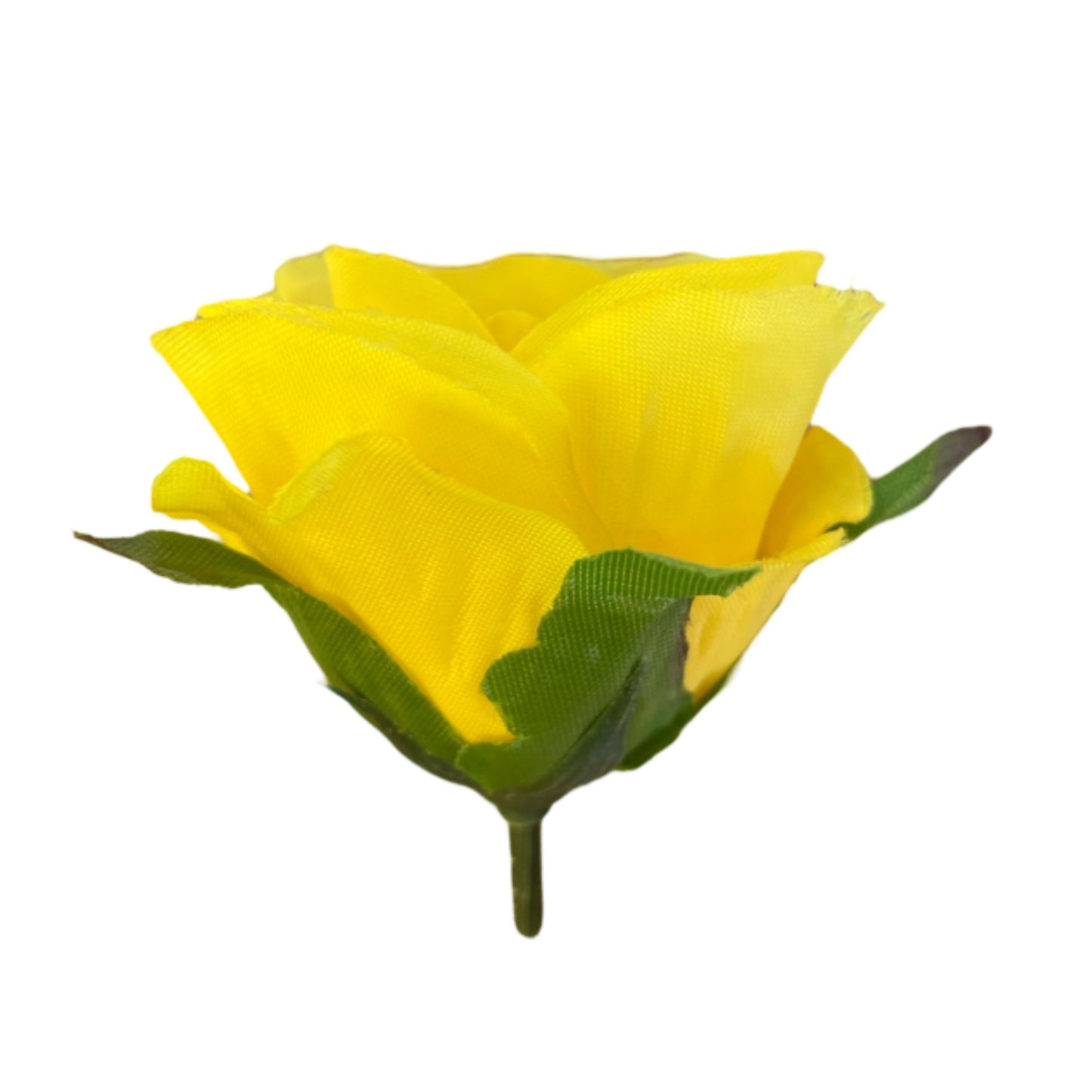 Yellow White Rose (MR4) Pack of (200)