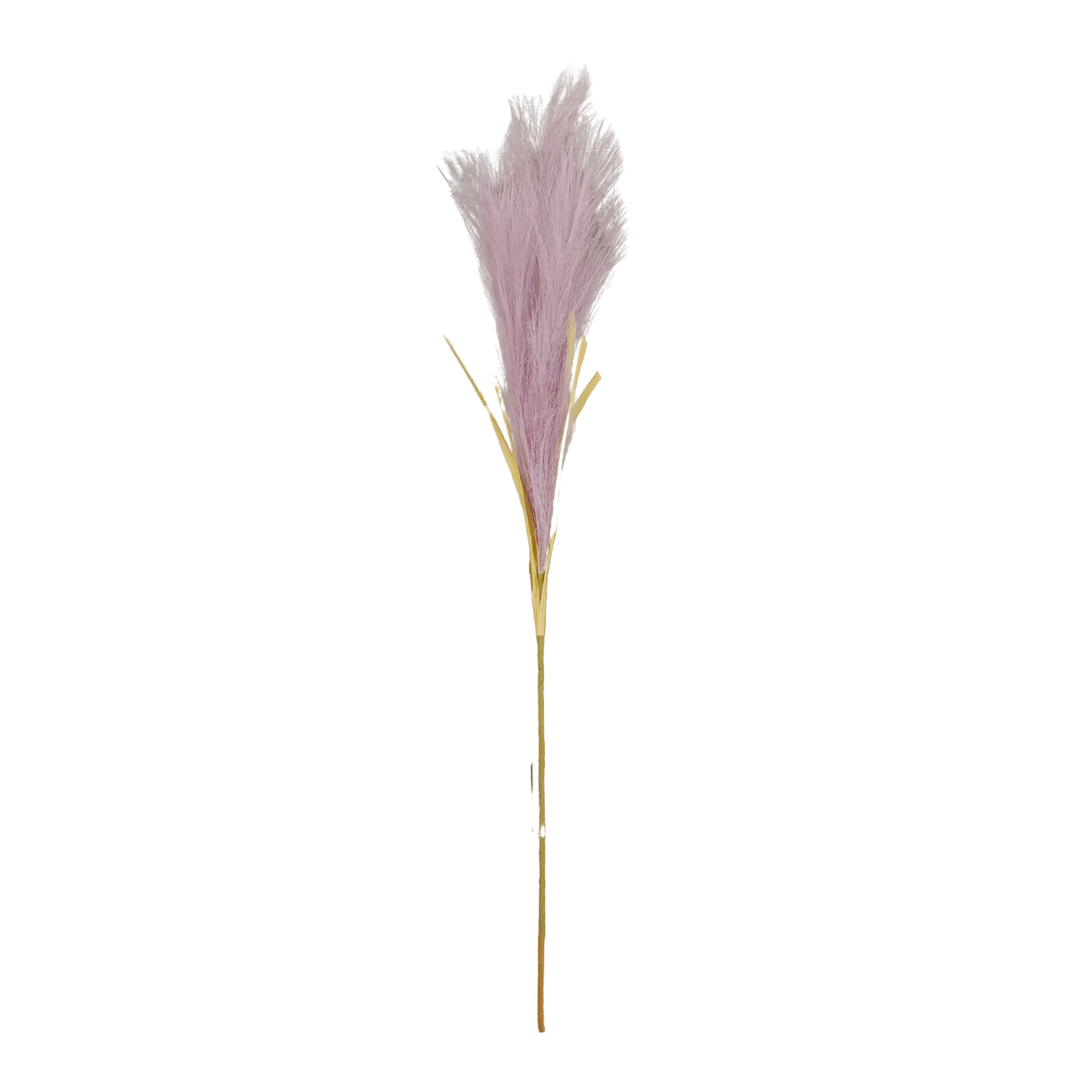 Pampas Grass Bunch 20 Stick 46.5" Lavender (Pack of 10)