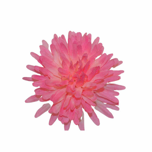 Pink White Dahlia (Pack of 100)